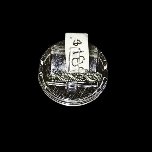 Anillo marquesita trenzado